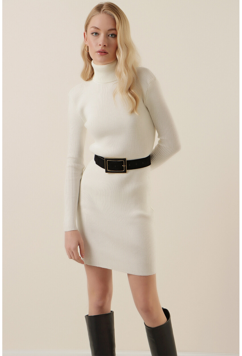 15797 Turtleneck Knit Dress