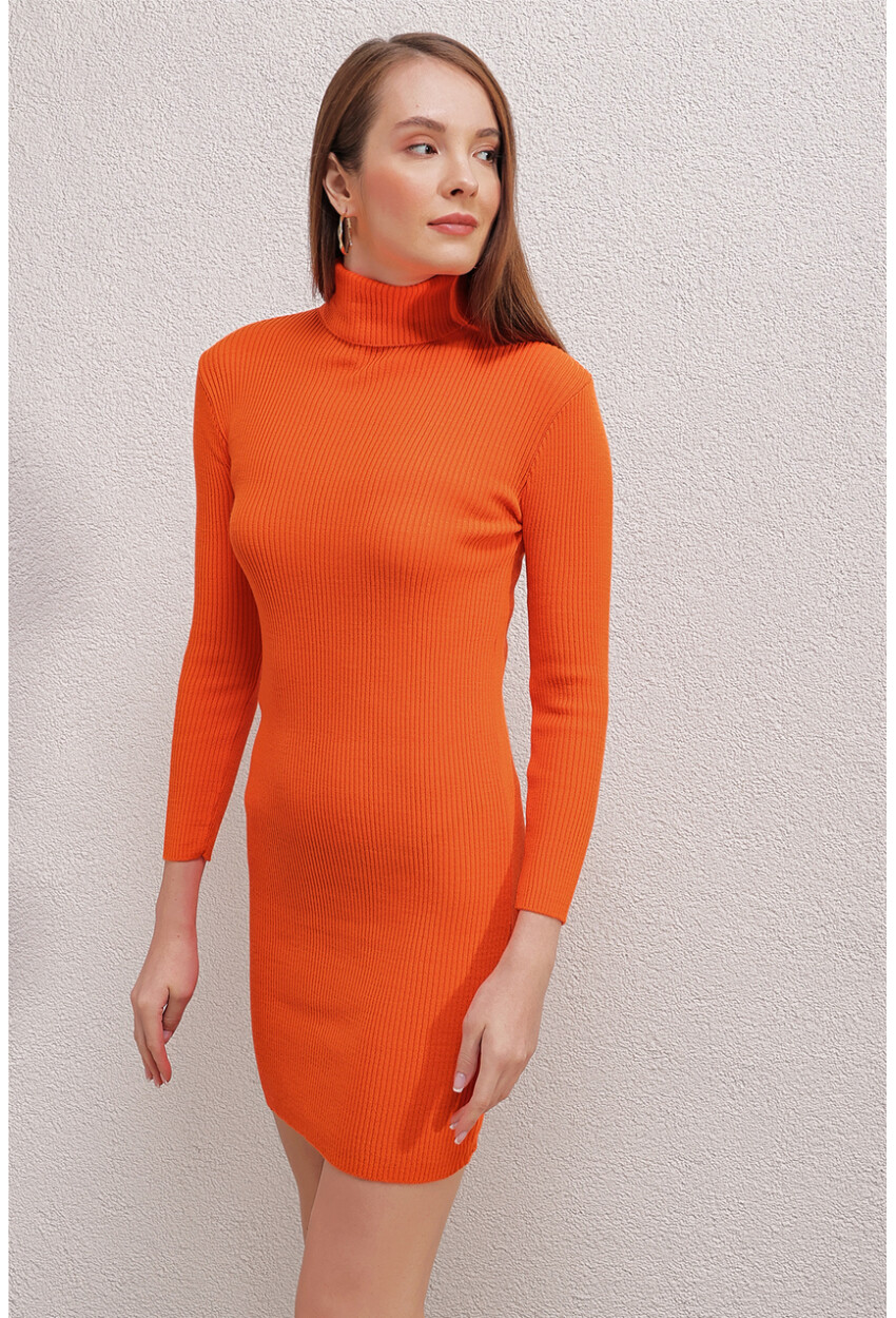 15797 Turtleneck Knit Dress