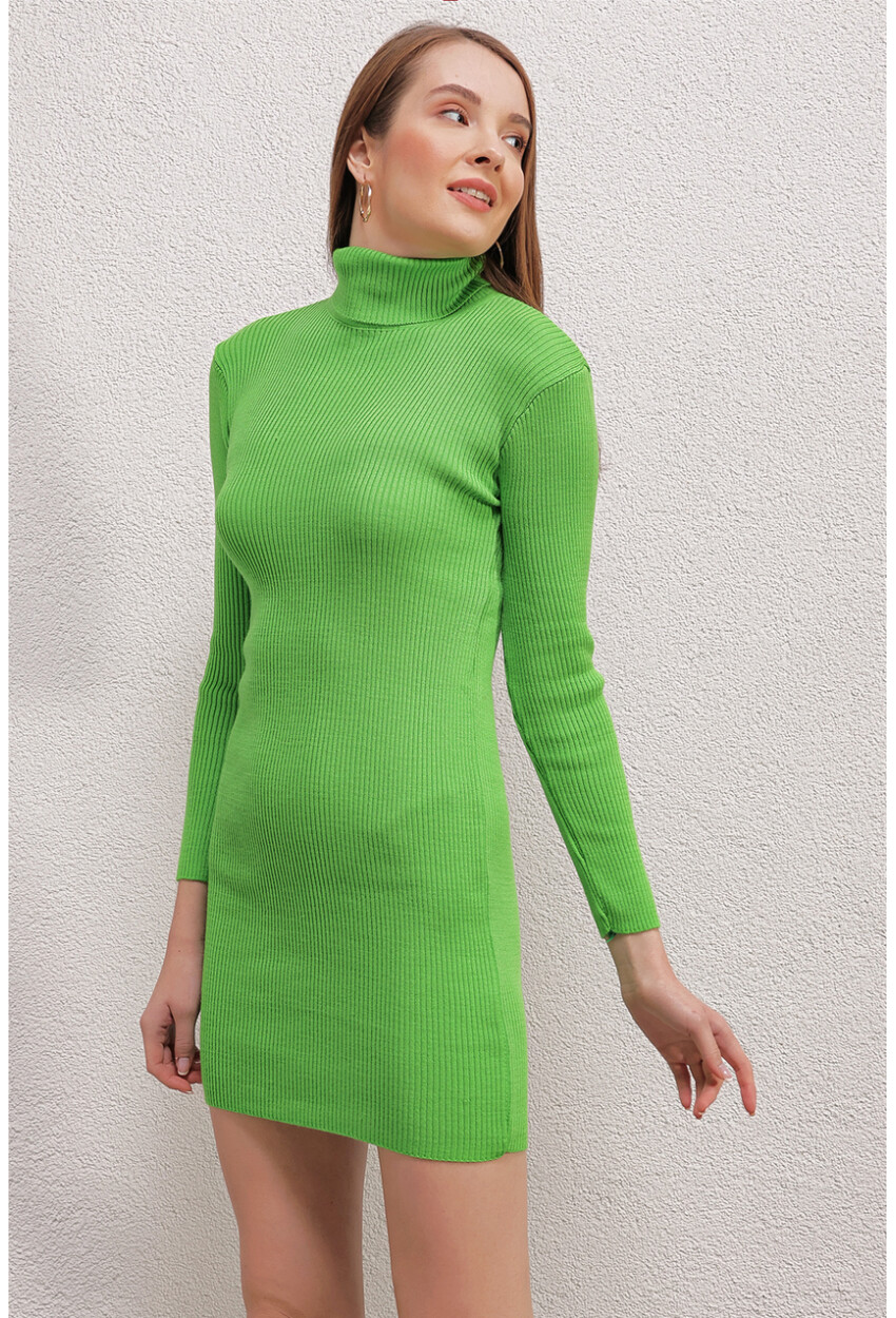 15797 Turtleneck Knit Dress