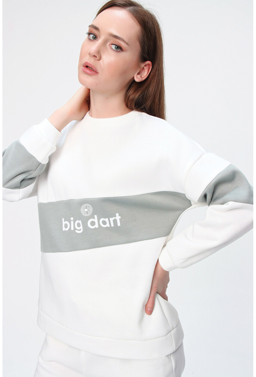 55338 Bigdart Printed Sweatshirt