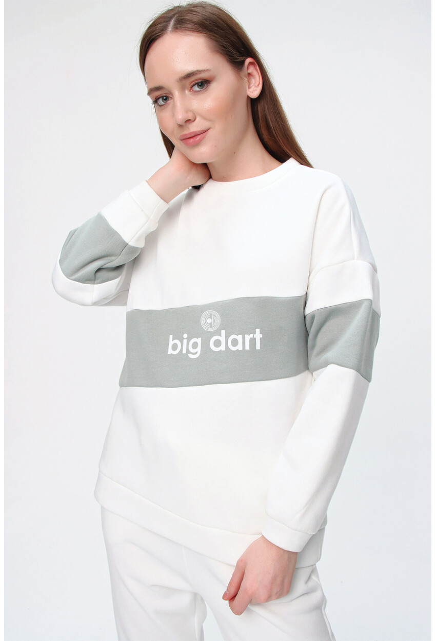 55338 Bigdart Printed Sweatshirt