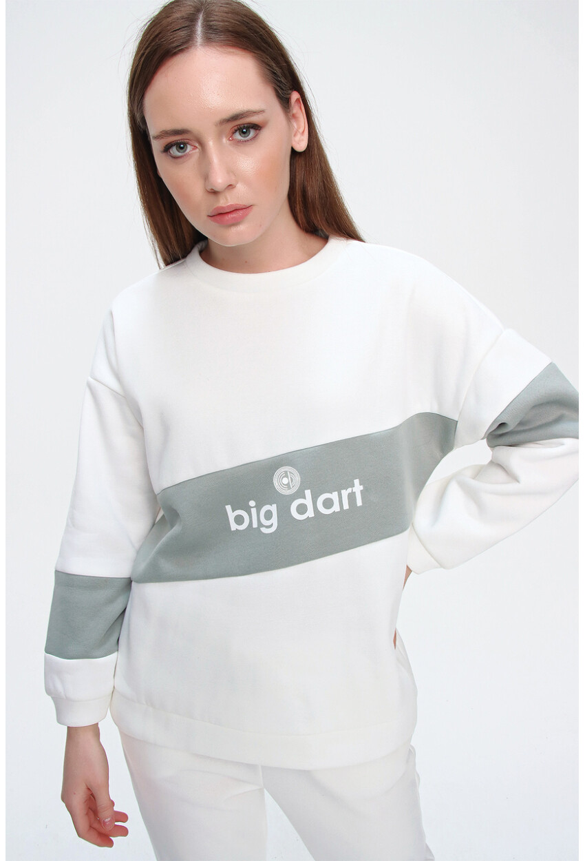 55338 Bigdart Printed Sweatshirt