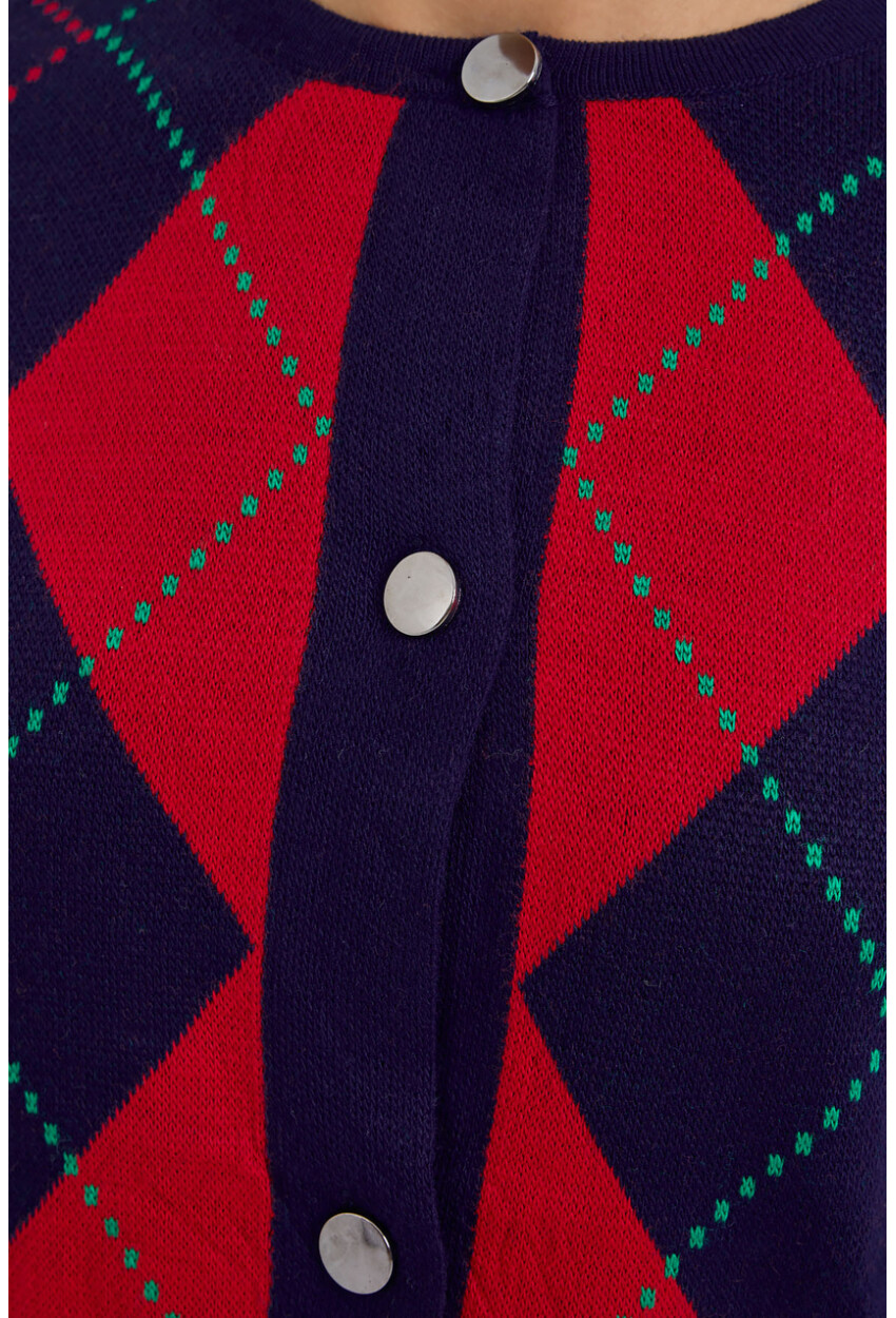 15883 Argyle Knit Cardigan