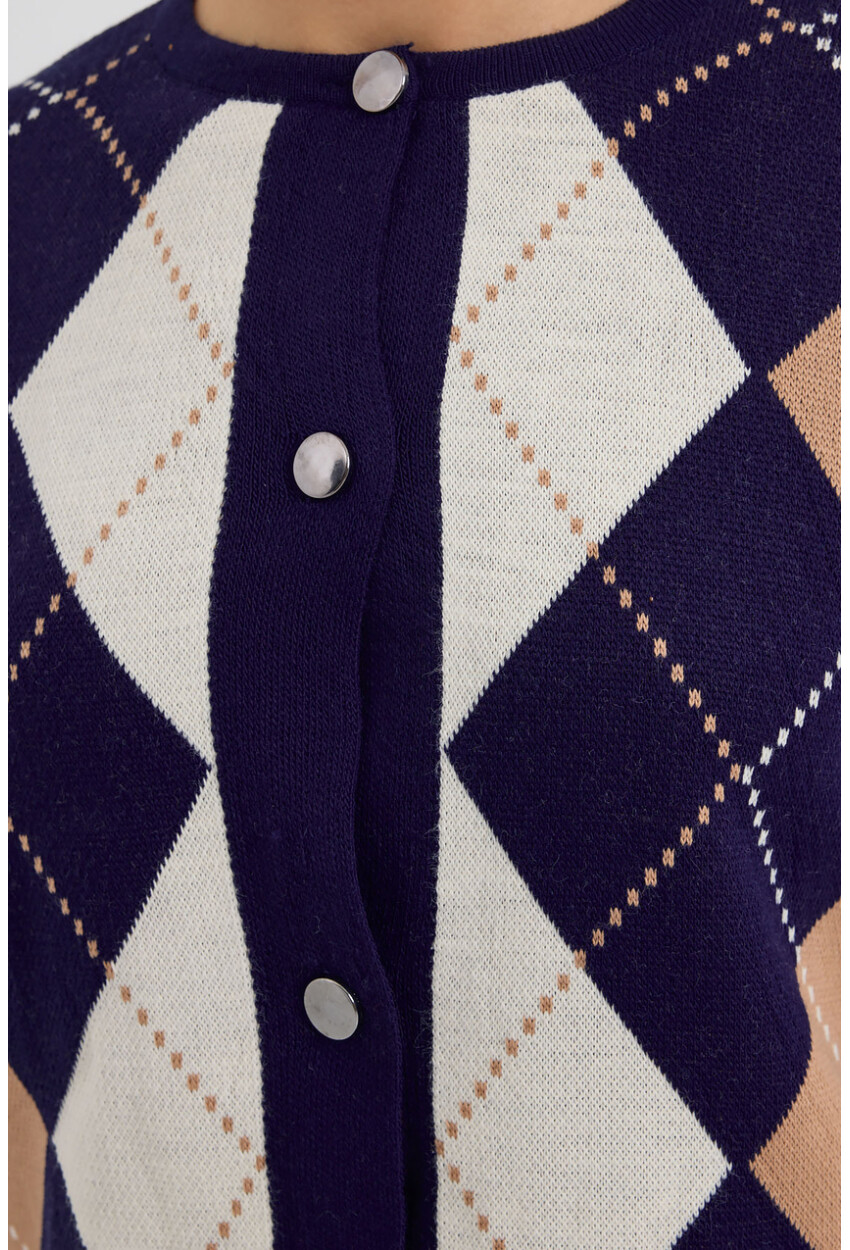 15883 Argyle Knit Cardigan
